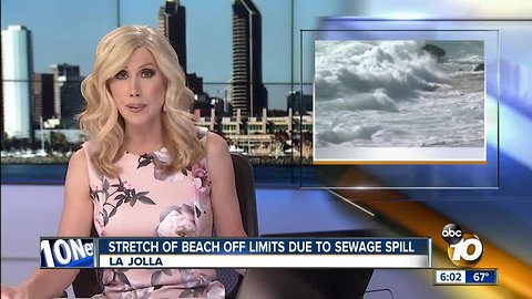 Stretch of La Jolla beach off limits after sewage spill