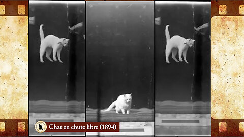 Falling Cat (1894) 🐱 Cat Movies 🎥🐈