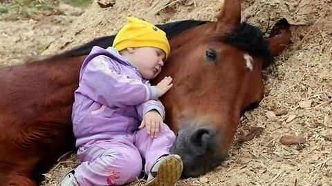 Tender Moment Between A Little Friend and a Horse