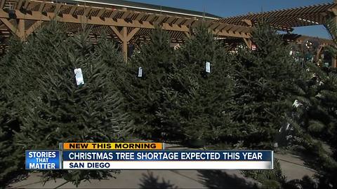 Christmas tree shortage hits San Diego