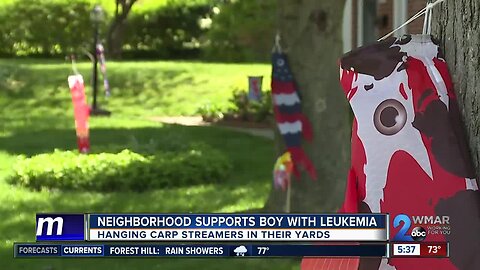 Neighborhood in Towson puts up carp streamers to show support for 10-year-old boy battling leukemia