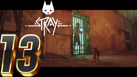 Betrayal! At the Nightclub -Stray Ep. 13