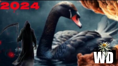 ‘Black Swan Event’ Coming In 2024?“Huge Numbers Of People Will Die”