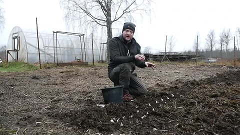 Ooops... I'm late! Can I Still Plant Garlic?