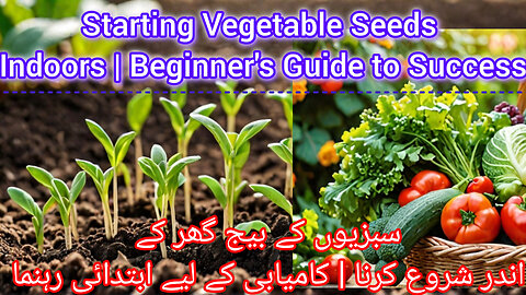 Starting Vegetable Seeds Indoors | Beginner's Guide to Success