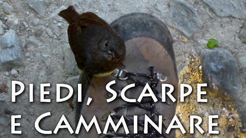 Camminare: scarponi, ghette ecc. - Trekking Tutorial 07