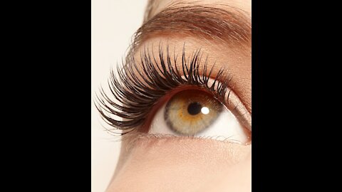 Eyelash Serum