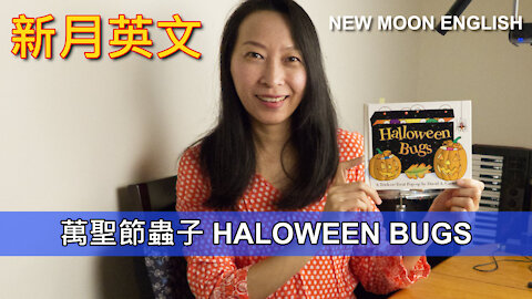 萬聖節蟲子 HALOWEEN BUGS