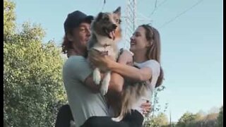 Dog is so jealous of owner's girlfriend!