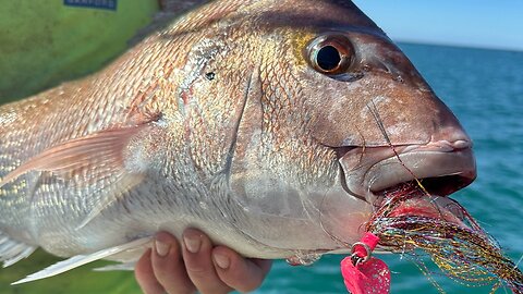 Fishing gear sort out