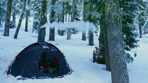 Father Son Winter Hot Tent Camping In Old Growth Forest