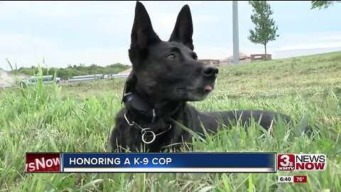 Sarpy County Sheriff's Office K-9 retires