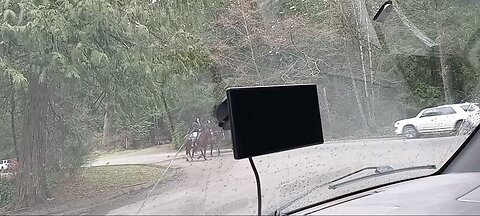 Horses