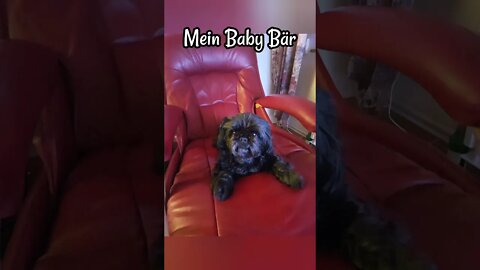 Pia Mein Baby Bär sagt guten Morgen