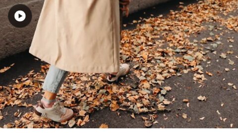 A Person Walking on Pavement Full of Dry Leaves