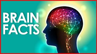 BRAIN FACTS | BRAIN STEM | BRAIN ACTIVITY | BRAIN DISEASE