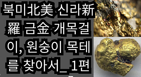 북미北美 신라新羅 금金 개목걸이, 원숭이 목테를 찾아서_ 1편