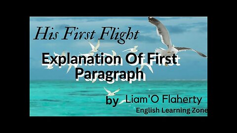 His First Flight || lesson || Liam o Flaherty ||first paragraph explanation