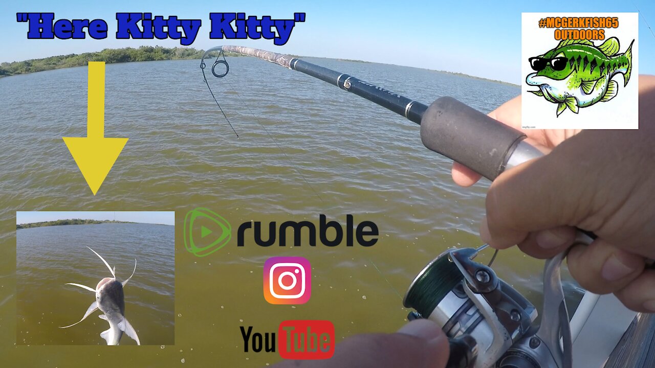 Kitty Rumble