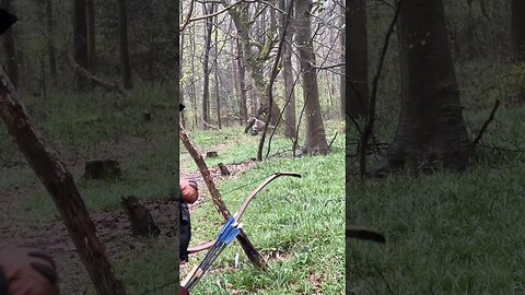 73LBS Saluki Tartar Bow, Field Test in the Rain, 3D Archery #archery