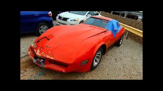 Copart Walk Around + Carnage + Cheap C3 Corvette!