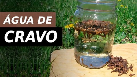 DESCUBRA POR QUE TOMAR AGUA DE CRAVO É BOM