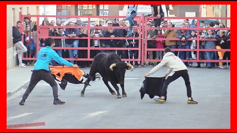 GRISEN ( ZARAGOZA ) TARDE VACAS EN CALLE ( DOMINGO 19 NOVIEMBRE 2023 ) GANAD.ENRIQUE DOMINGUEZ