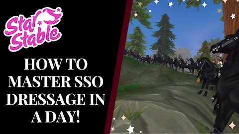 How To MASTER SSO DRESSAGE Within ONE DAY! Star Stable Quinn Ponylord