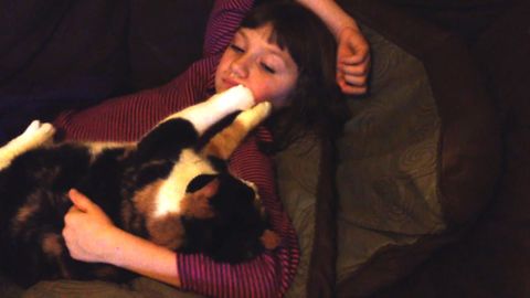 6 Cats Give The Purrfect Massage