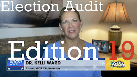 Election Audit Edition 19