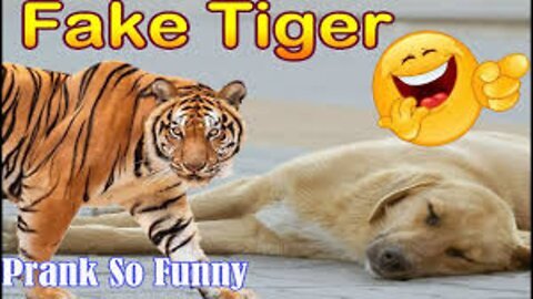 Troll Prank Dog Funny & fake Lion and Fake Tiger Prank To dog