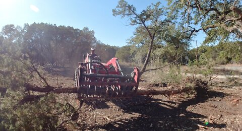 Removing cedar trees and box blade work with Mahindra 1635L