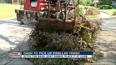 Curbside pickup for Hurricane Irma debris begins in Tampa Bay