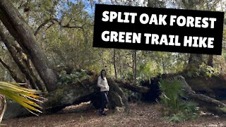 SPLIT OAK FOREST GREEN TRAIL HIKE, ORLANDO FLORIDA