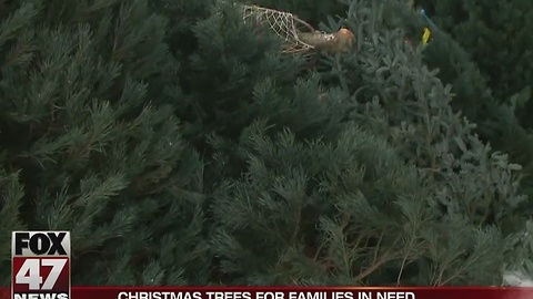 Lansing Gardens to donate 100 Christmas trees