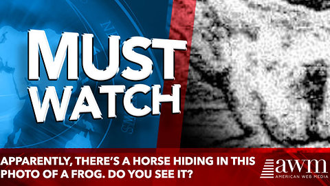 Apparently, there’s a horse hiding in this photo of a frog. Do you see it?