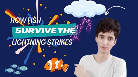 How Fish Escape The Lightning Strikes