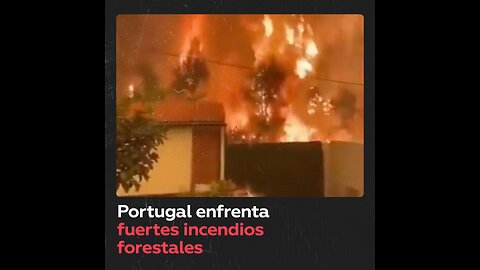 Incendios forestales continúan devastando Portugal