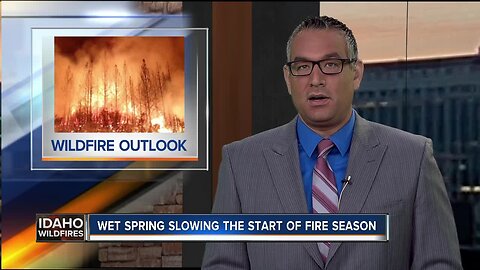 Delayed fire season after wet spring