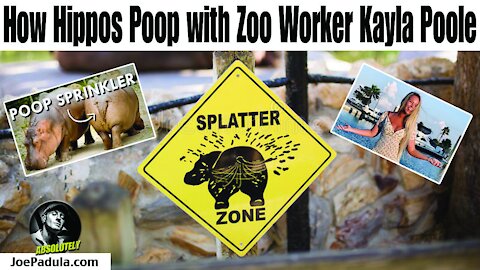 Zoo Worker Kayla Poole on Hippos Pooping