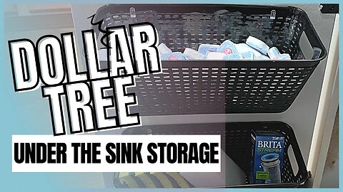 Dollar Tree Kitchen Organization | Under The Sink Storage