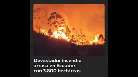 Devastador incendio al sur de Ecuador deja más de 3.800 hectáreas arrasadas