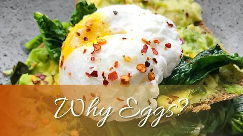 5 Important Facts about Eggs!