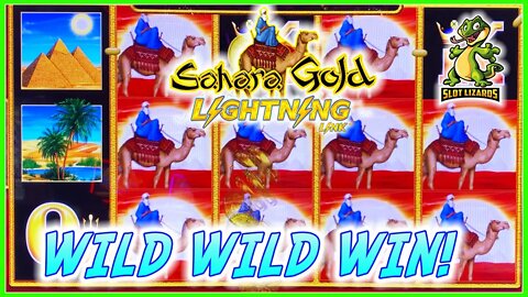 NICE! SO MANY WILDS BIG WIN! Lightning Link Sahara Gold Slot Machine