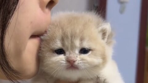 Cute girl is kissing her cute cat