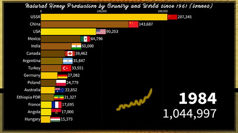 🍯 Honey Production by Country and World since 1961