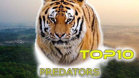 Top 10 predators in the world