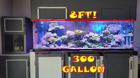 300 Gallon Reef Tank Tour