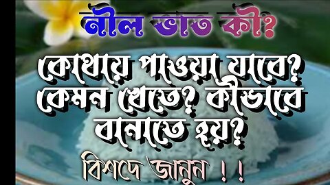 ll নীল ভাত কী? এর উপকারিতা কী? কীভাবে বানাতে হয়? খেতে কেমন? কোথায় পাওয়া যায়? What is Blue Rice? ll