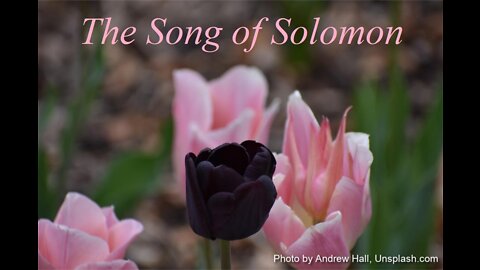 The Song of Solomon 2 | KJV